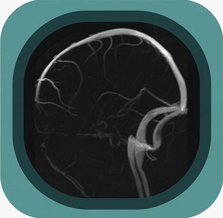 MRV brain anatomy icon